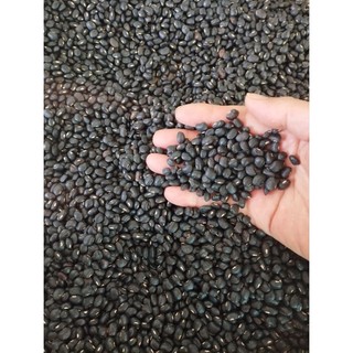 Đậu đen xanh lòng - 500g. chuẩn giống
