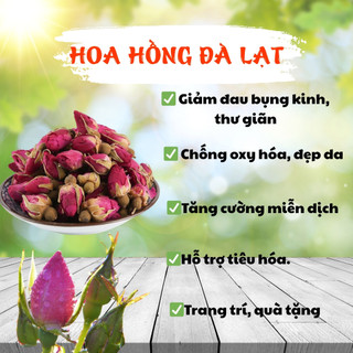Hoa Hồng Đà Lạt HTX Vạn An Đẹp Da Giảm Cân Thư Giãn