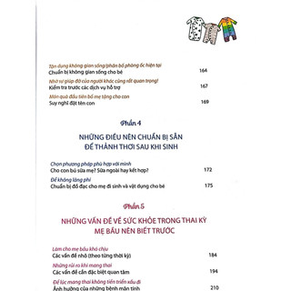 Sách - Lần Đầu Làm Mẹ - NXB Lao động