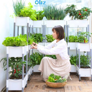  Kệ trồng rau thông minh Oliz D206. Chậu trồng cây ban công chậu trồng cây tự tưới cao tầng 