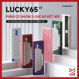 [Sẵn hàng] Kit bàn phím cơ Lucky65 v2 - Nhôm CNC, PCB 1.2 mm, 3 mode, LED RGB, Hotswap