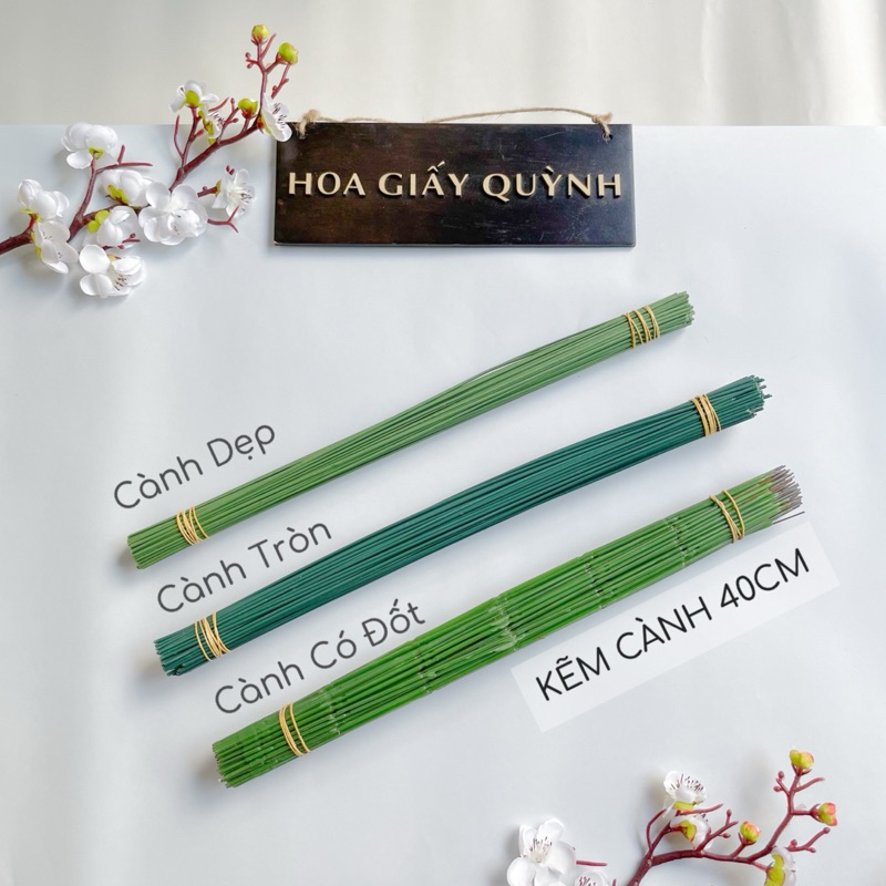 KẼM CÀNH 40 CM, bó 100 cây