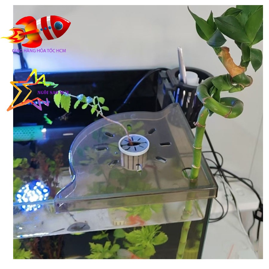 KỆ KẸP GỐC HỒ CÁ HỒ THỦY SINH, GIÚP TRANG TRÍ HỒ CÁ, LÀM NƠI ĐỂ TIỂU CẢNH BONSI MINI....