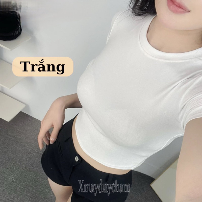 Áo Thun Cotton Mịn Croptop Nữ Ôm Body Quyến Rũ Cổ Tròn Cộc Tay Basic mùa hè m682 | BigBuy360 - bigbuy360.vn