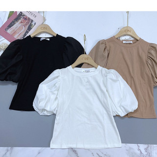 Móc áo gỗ mộc