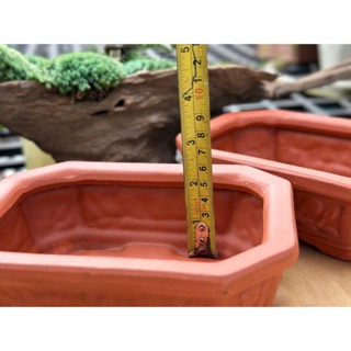 [ MAY ] Chậu Đất Nung Chữ Nhật Bonsai Hoa Văn - Trồng Bonsai - Sen Đá...