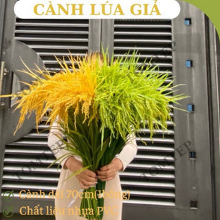 { Giá xưởng } Combo 5-10 cây lúa giả 2 màu xanh và vàng ( cao 70cm)