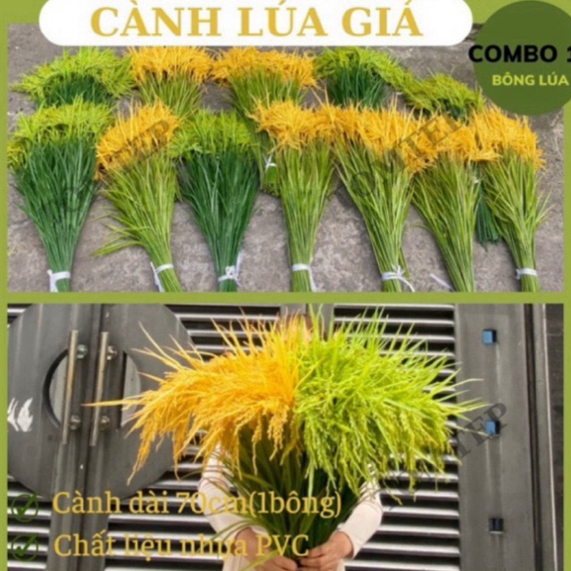 { Giá xưởng } Combo 5-10 cây lúa giả 2 màu xanh và vàng ( cao 70cm)