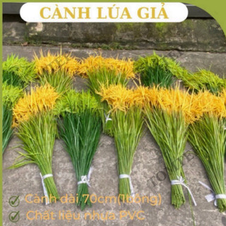 { Giá xưởng } Combo 5-10 cây lúa giả 2 màu xanh và vàng ( cao 70cm)