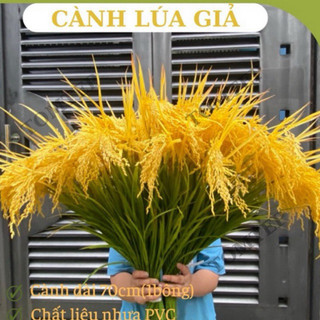 { Giá xưởng } Combo 5-10 cây lúa giả 2 màu xanh và vàng ( cao 70cm)