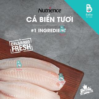 NUTRIENCE SubZero Canadian Pacific & Fraser & Valley Cho Mèo (Gà Tây, Cá Hồi, Cá Trích, Cá Tuyết & Rau Củ)