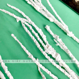 Combo 5 CÀNH TUYẾT DẺO