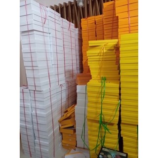 Hộp Đựng Túi Xách Thời Trang