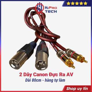  2 Dây Canon Đực Ra Av Hoa Sen Cao Cấp Dài 80Cm Chống Sôi-Nhiễu 2 Sợi Canon Đực Ra Hoa Sen - H2Pro 