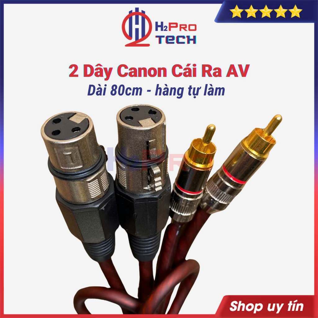 Dây Canon Cái Ra Av Hoa Sen Dài 80Cm (2 Sợi) Cao Cấp Tự Làm, Chống Sôi-Nhiễu - H2Pro Audio
