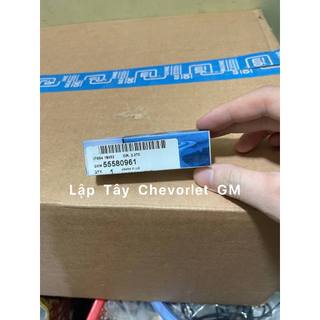 bugi bạch kim Cruze GM 55580961 CHính hãng