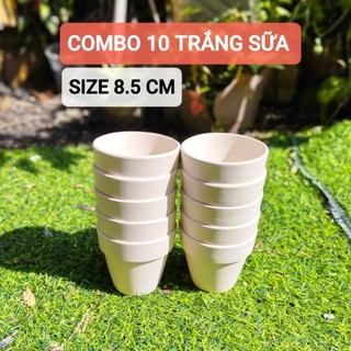 [Bao Bể Vỡ] COMBO 10 Chậu Đất Nung Trồng Sen Đá 8x7cm