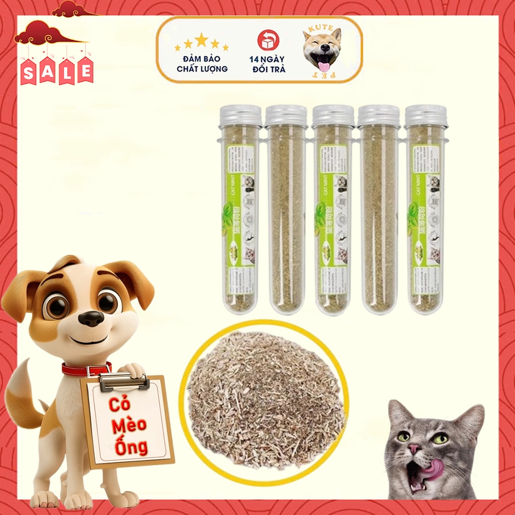 Cỏ bạc hà catnip cho mèo