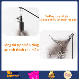 Đồ Chơi Cần Câu Mèo Vui Nhộn