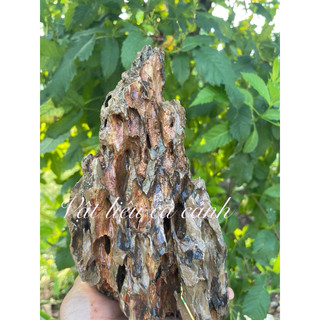 đá Tiger  [1kg] setup bể thủy sinh  tiểu cảnh trang trí bể c
