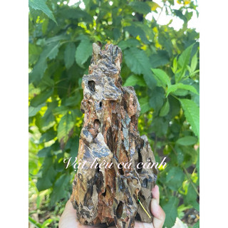 đá Tiger  [1kg] setup bể thủy sinh  tiểu cảnh trang trí bể c