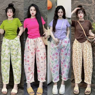 Set bộ áo thun tăm babytee phối quần suông baggy lưng chun phối ren bigsize 60-90kg cho nữ