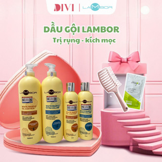 Cặp Dầu Gội Xả LAMBOR Nấm Vàng Truffle 400ML Giảm Rụng Và Kích Thích Mọc Tóc, Thải Độc Tốt Cho Da Đầu - Mỹ phẩm Divi