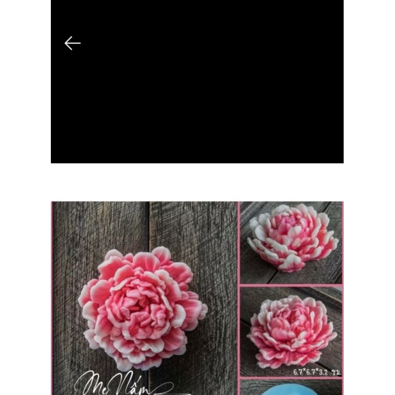 Khuôn hoa Mẫu đơn B45