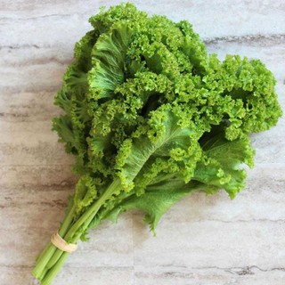 Hạt giống Cải Wasabi Nhật (Cải Mù Tạt) RADO dễ trồng, ăn ngon, mau thu hoạch