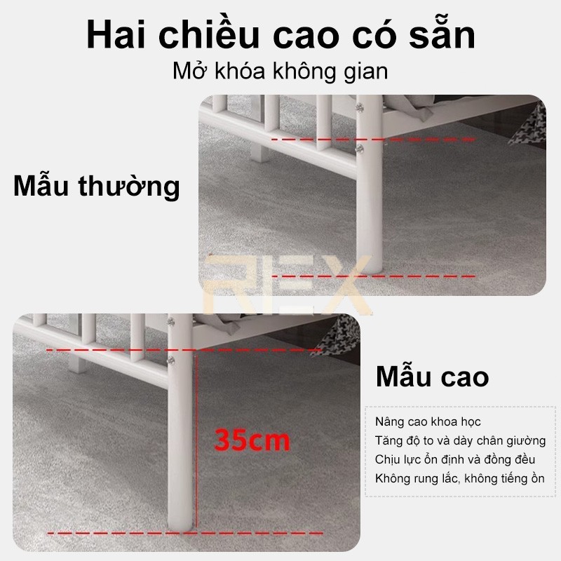 REX  Giường Sắt Với Thanh Đỡ Bằng Thép Mỹ Nghệ Cao Cấp 1m2/1m5/1m8 - Chống Gỉ | BigBuy360 - bigbuy360.vn