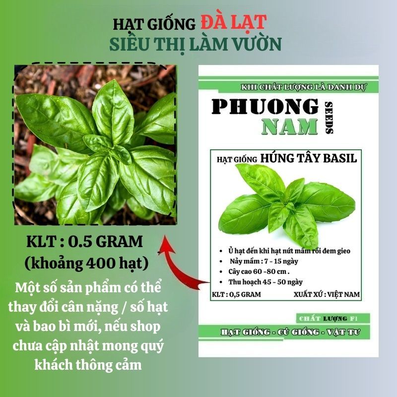 0.5 GR - HẠT GIỐNG HÚNG TÂY BASIL ĐÀ LẠT
