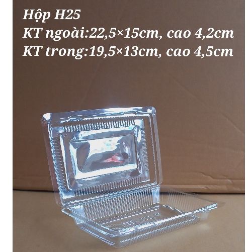 10 HỘP NHỰA H25