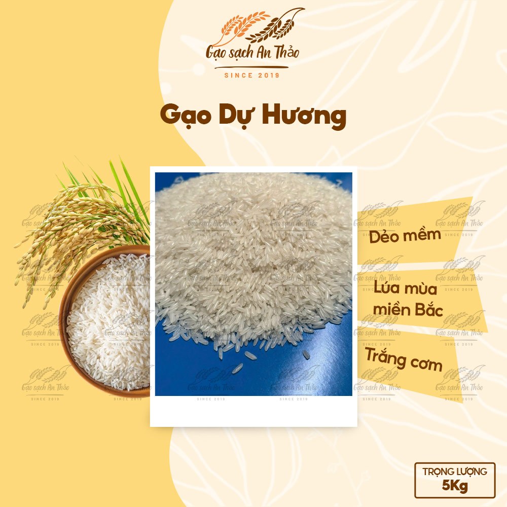 (5kg) Gạo Dự Hương - dẻo mềm, lúa mùa miền Bắc, thơm ngon chuẩn vị