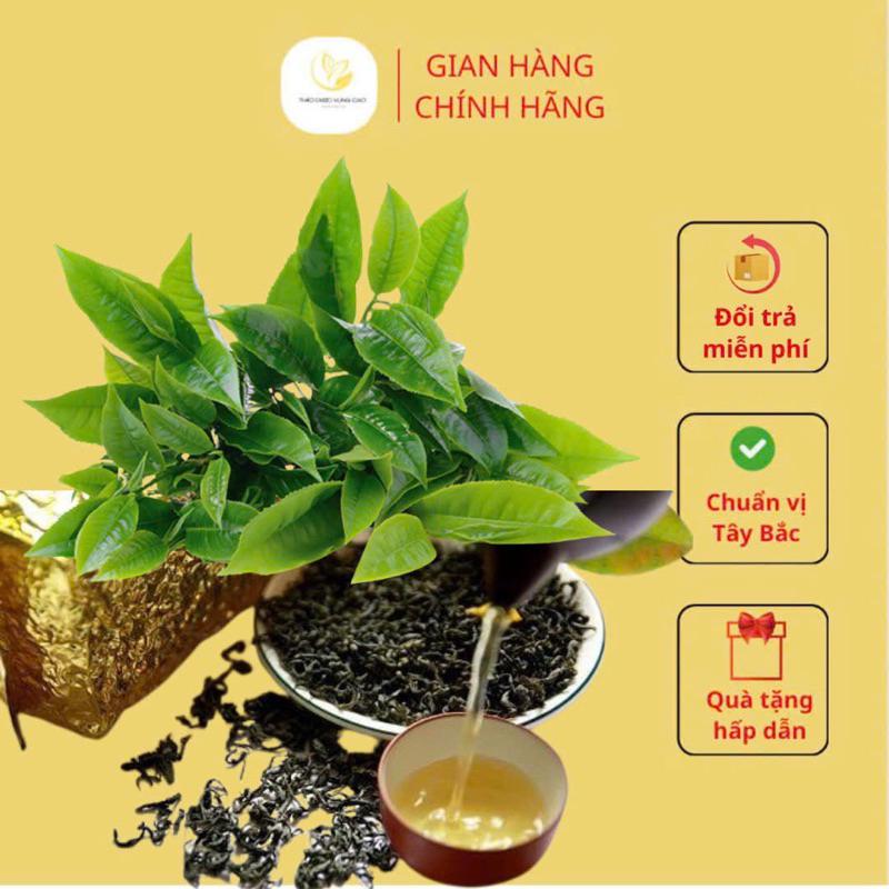 Chè Xanh Lai Châu , Trà Xanh Đội 2 Lai Châu