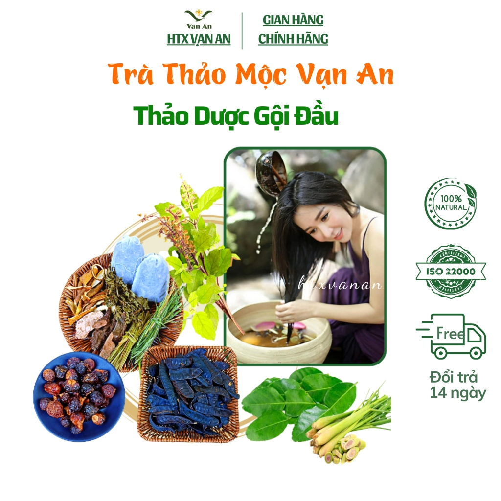 Thảo dược gội đầu HTX Vạn An túi lọc mới chăm sóc tóc giảm bạc rụng tóc và gàu sạch da đầu thư giãn