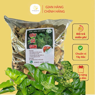 Thảo Dược Lá Mát Gan Của Người Dân Tây Bắc ( Thảo Dược Vùng Cao )