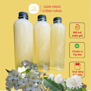 [FreeShip] Mật Ong Hoa Trắng Mật Của Cây Hoa BlongSong Tây Bắc