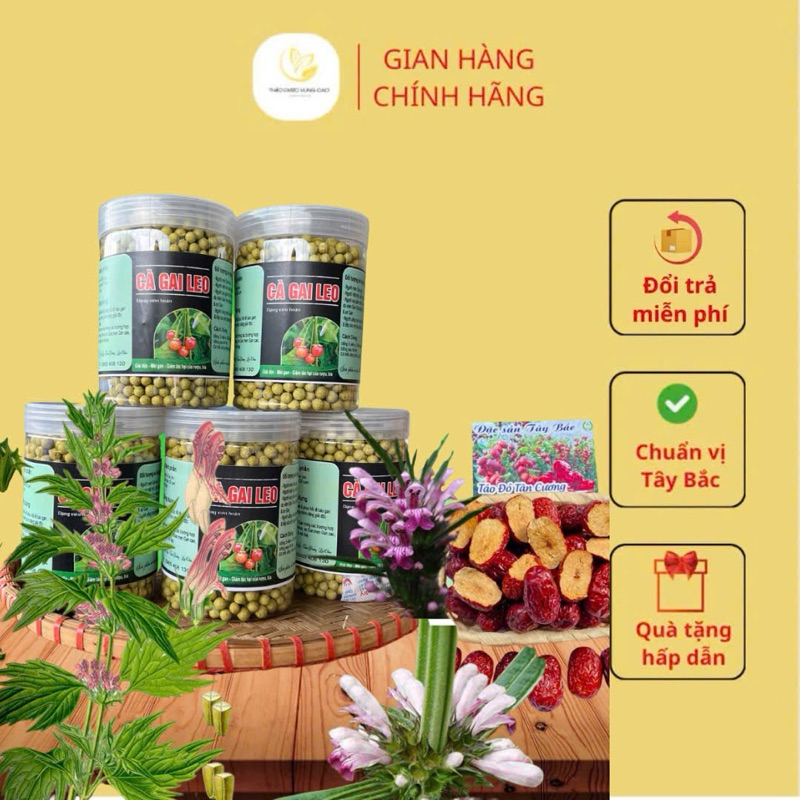 [CHÍNH HÃNG] Viên Nén Cà Gai Leo Và Cây Mật Nhân (Tây Bắc 99)