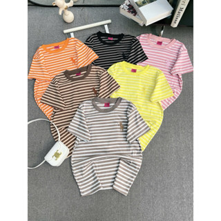 (HOẢ TỐC )- Áo thun nữ kẻ sọc hình ngựa thêu form vừa babytee 40-58Kg cotton borrip co dãn