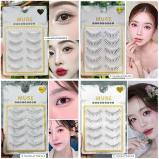  Lông mi giả - Mi Muse gân trong - Tập hợp các mã mi được nâng cấp từ dáng mi Muse MG40 quốc dân 