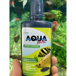  Thuốc AquaBac dành cho cá Rồng Hổ Sam 