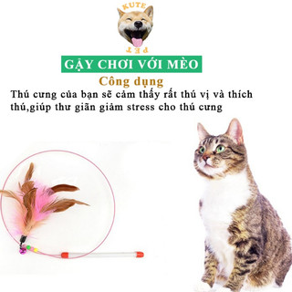 Gậy chơi với mèo