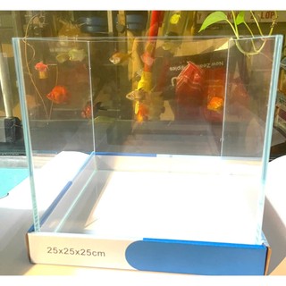 bể cá, hồ cá siêu trong cubic 20, 25, 30cm