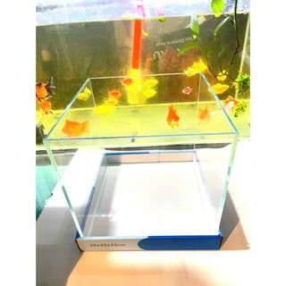 bể cá, hồ cá siêu trong cubic 20, 25, 30cm