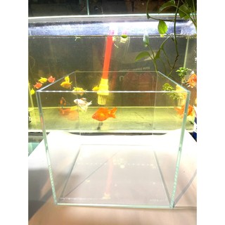 bể cá, hồ cá siêu trong cubic 20, 25, 30cm