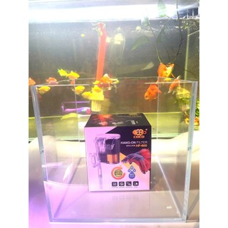 bể cá, hồ cá siêu trong cubic 20, 25, 30cm