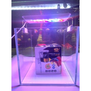 bể cá, hồ cá siêu trong cubic 20, 25, 30cm