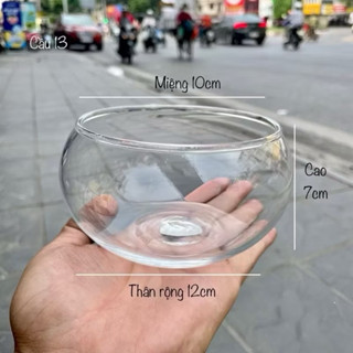 Bể thuỷ tinh thả cá mini miệng bèo - miệng răm- Trồng cây thuỷ sinh