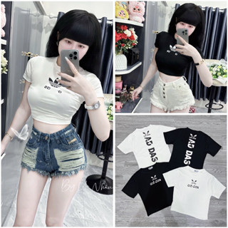 Áo Thun CropTop Chử Dọc Lưng ABDAB