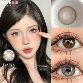 🩵(1 CẶP) Lens xám bán chạy mùa Thu Đông GIÃN (14.2MM) thiết kế tone hàn dễ mang - SHYNNIE LENS 🐰